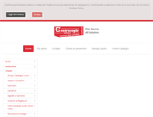Tablet Screenshot of centrocopieverbano.com
